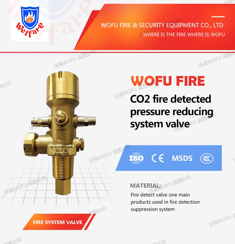 CO2 Brass Fire Suppression Trace Valve